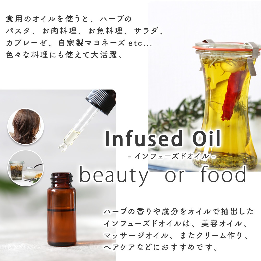 キャットニップ 10g 　【イヌハッカ/ドライハーブ/ハーブティー】 【ポストお届け可】