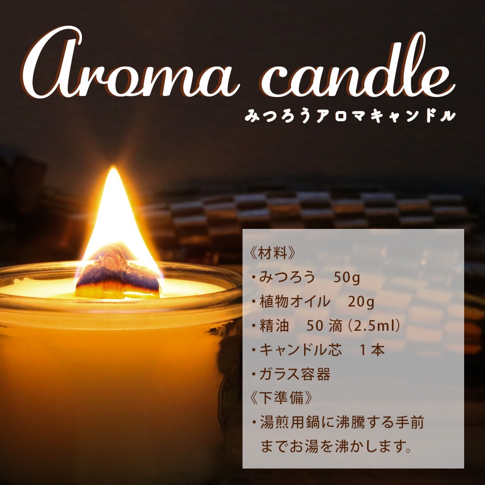 みつろう [晒 ホワイト] 500g【蜜蝋 蜜蝋ワックス 蜜ろう ビーズワックス ハンドメイド ミツロウ 白 ワックス クラフト 手作り キャンドル ラップ 精製 クリーム リップ 蜜蝋ラップ みつろうラップ ミツロウラップ 練香水 練り香水 バーム】