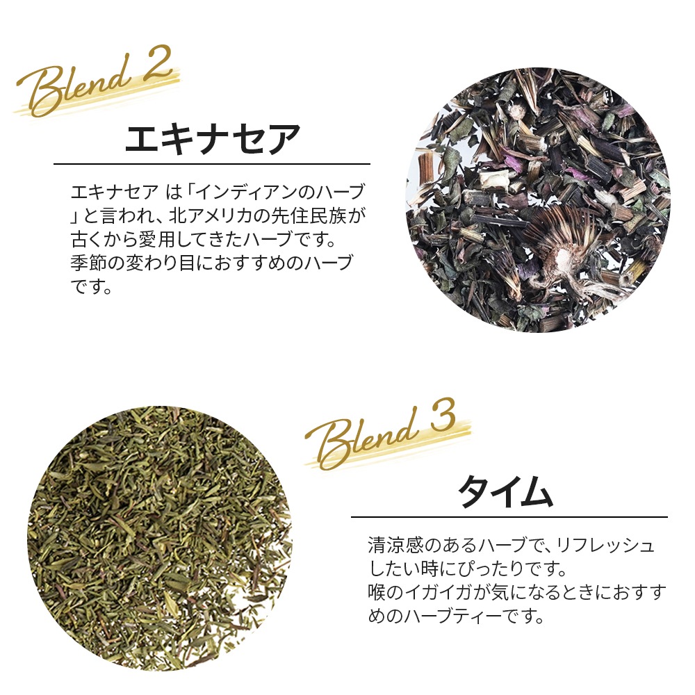 ブルーハーモニー 50g （オリジナルブレンドハーブティー）（ハーブティー ドライハーブ リンデン エキナセア タイム ヒソップ マローブルー お茶 茶葉 リーフティー ノンカフェイン 無添加 温活 ギフト 贈り物 プレゼント QOL）【ポストお届け可】