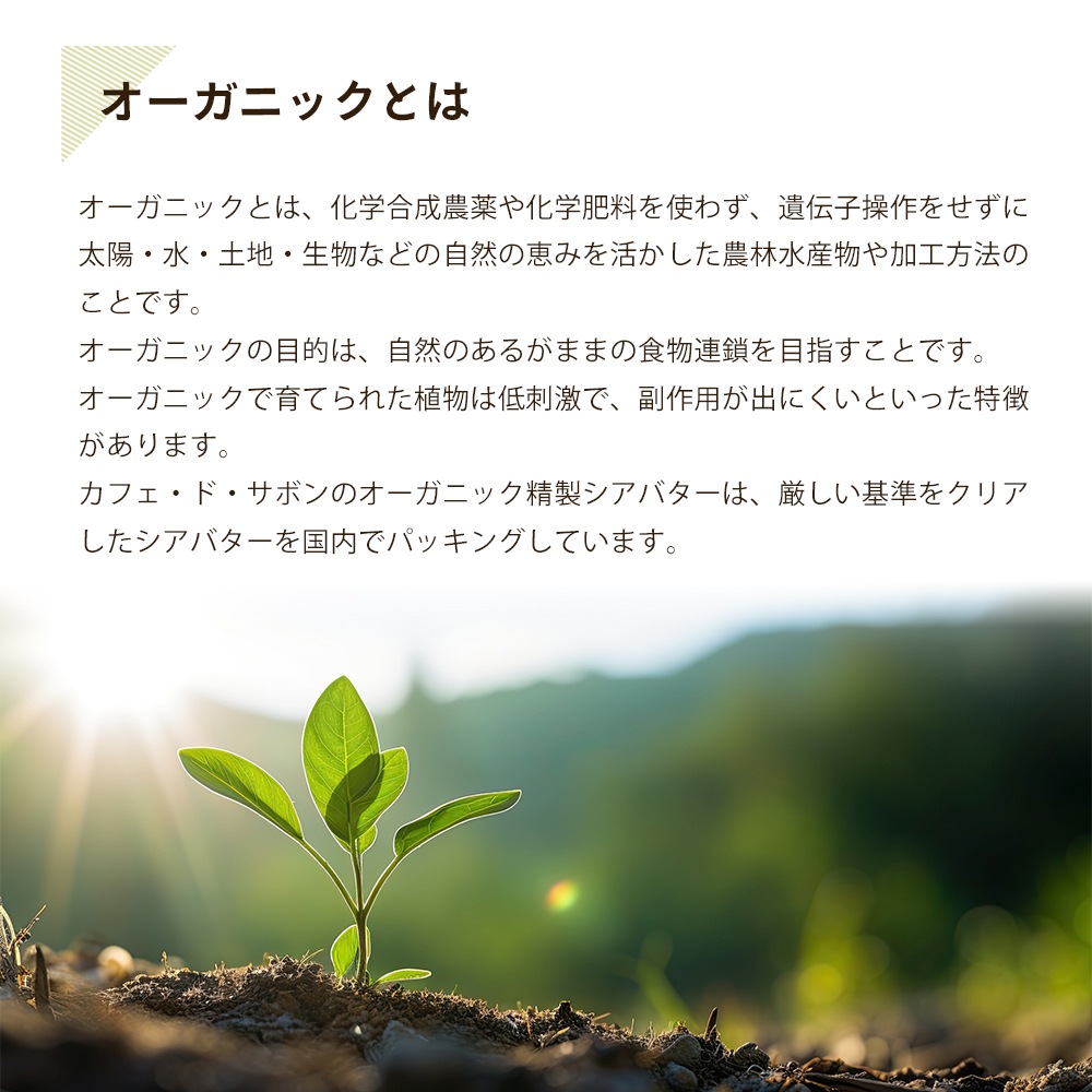 オーガニック 精製シアバター 50g 【ポストお届け可】