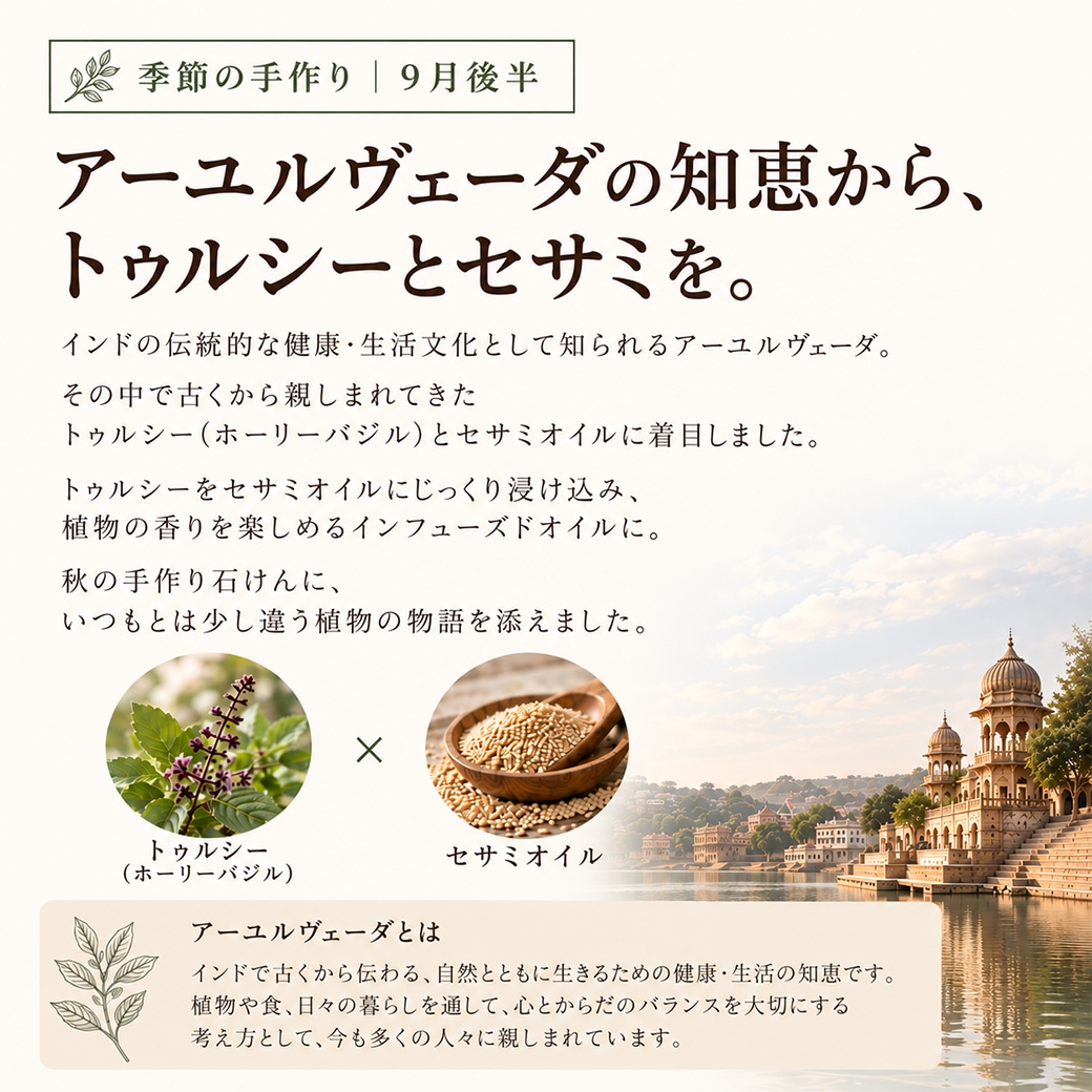 【9月限定】期間限定 季節を楽しむ石けん作り|9月後半 ホーリーバジルのスムースハグ石けん オイルミックス【ハーフサイズ】