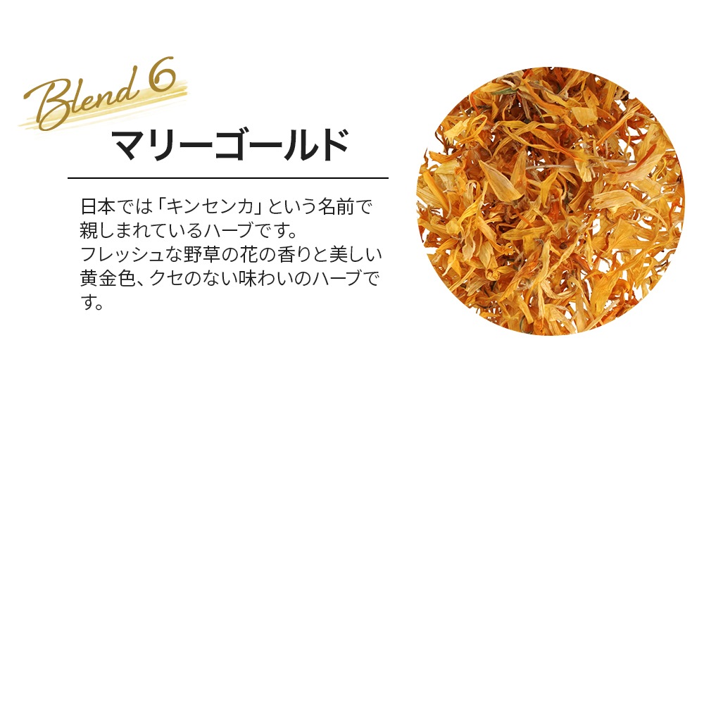 ホット＆スリム 50g  （オリジナルブレンドハーブティー）（ ハーブティー ドライハーブ マテ マテ茶 マルベリー フェンネル サラシア ダンデリオン マリーゴールド お茶 茶葉 リーフティー 無添加 温活 ダイエット ）【ポストお届け可】