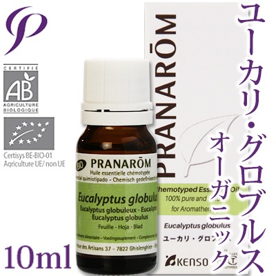 【レビューを書いて送料無料】［プラナロム］ ユーカリ・グロブルス 10ml 【ユーカリ/グロブルス/タスマニアンブルーガム/ユーカリプタス/オーガニック】 【精油/エッセンシャルオイル/アロマオイル/アロマテラピー/健草医学舎/ケンソー】【tk】