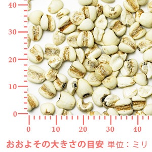 ヨクイニン（ハトムギ） 50g 【ポストお届け可】