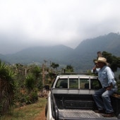 【200g】 エル・インヘルト　トラディショナル / グアテマラ （R:3 or R:5）