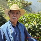 【200g】 エル・インヘルト　ブルボン　エル・タンケ / グアテマラ （R:1 ,R:3, R:5）