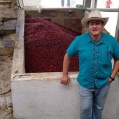 【200g】 ロズマ　ナチュラル / グアテマラ （R:2）