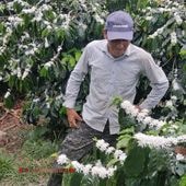 【100g】 エル・シルエロ / ホンジュラス （R:2）