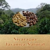 【100g】ニカラグア ジャバニカ・ナチュラル(中煎り)