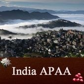 【100g】インディア APAA(深煎り）