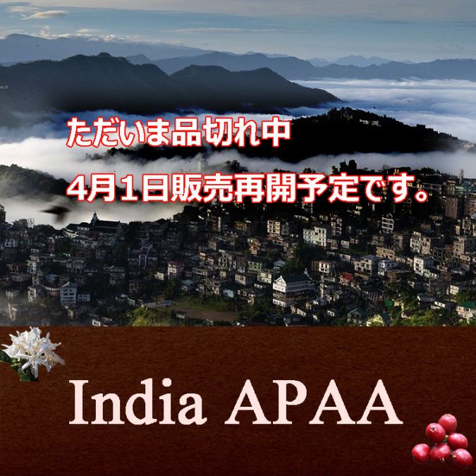 【100g】インディア APAA(深煎り）
