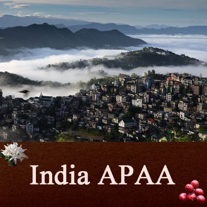 【100g】インディア APAA(深煎り）
