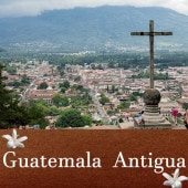 【100g】グァテマラ・アンティグア（中深煎り）