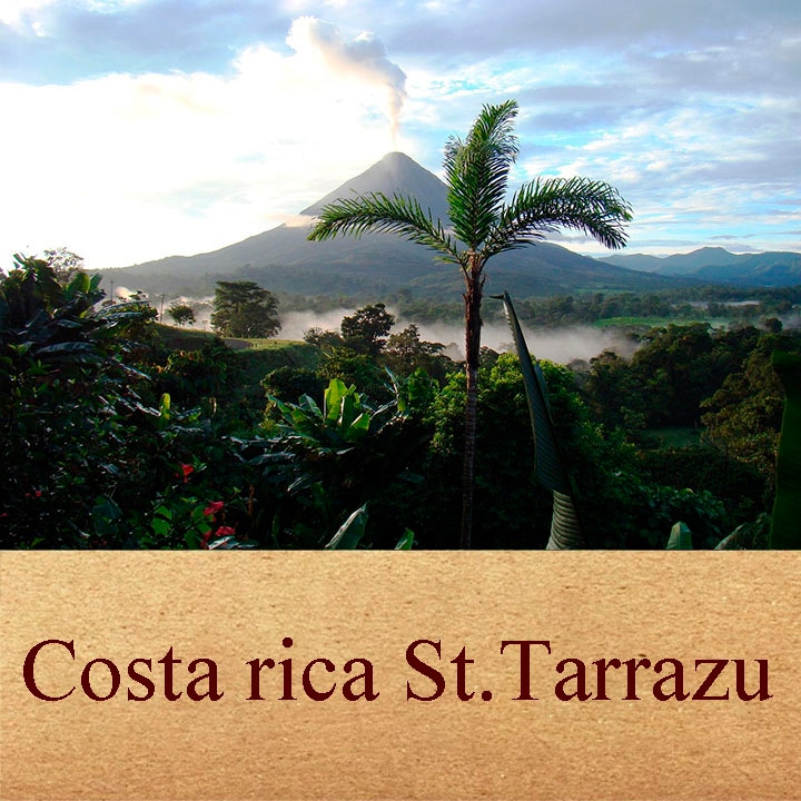 【100g】コスタリカ・ガンボア農園(中煎り)