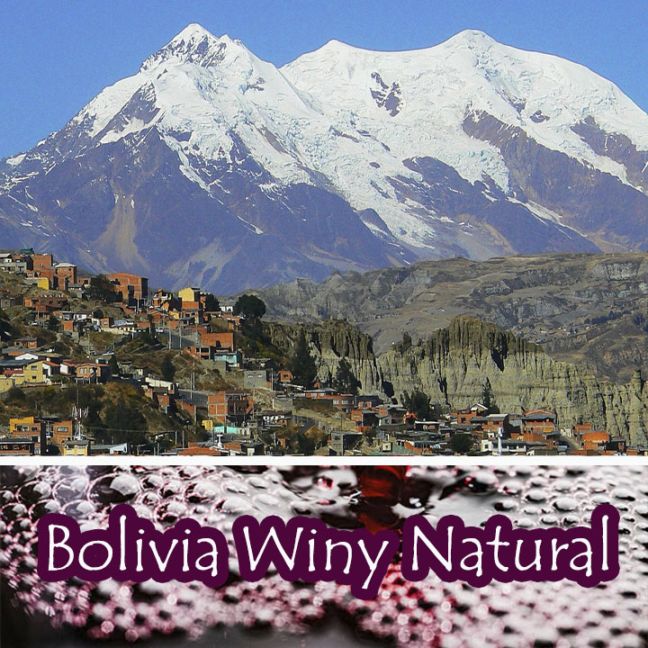 【100g】ボリビア・ワイニーナチュラル(中深煎り)