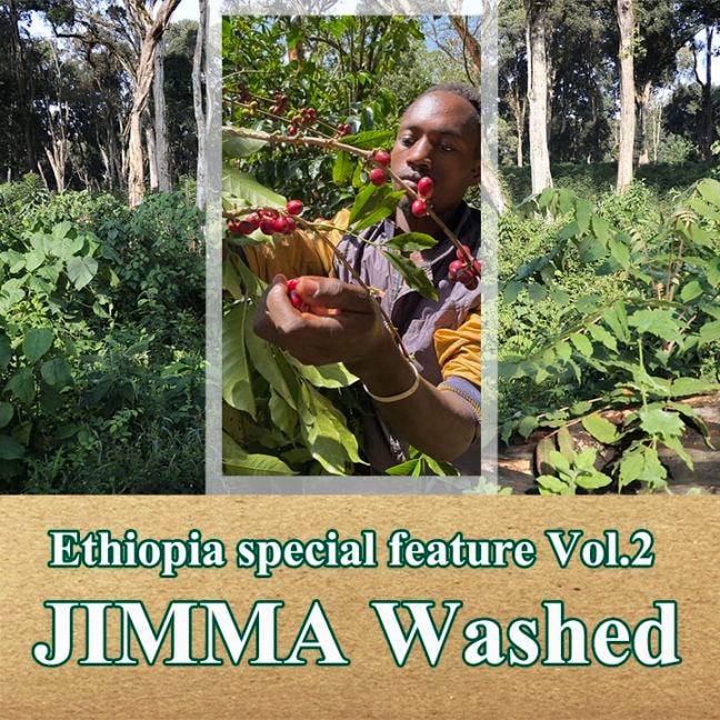 【100g】エチオピア・ジマ・ウォッシュト(中煎り)