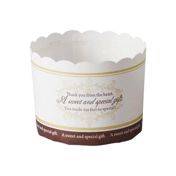 ڥå ޥե󥫥å M(١ޡ) 100 MS741-100