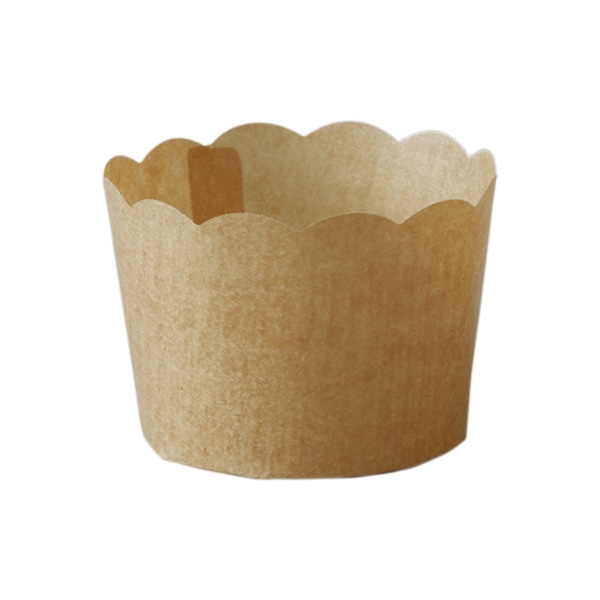 ڥ륬ߥ ޥե󥫥å S(ե) 100 PM360-100