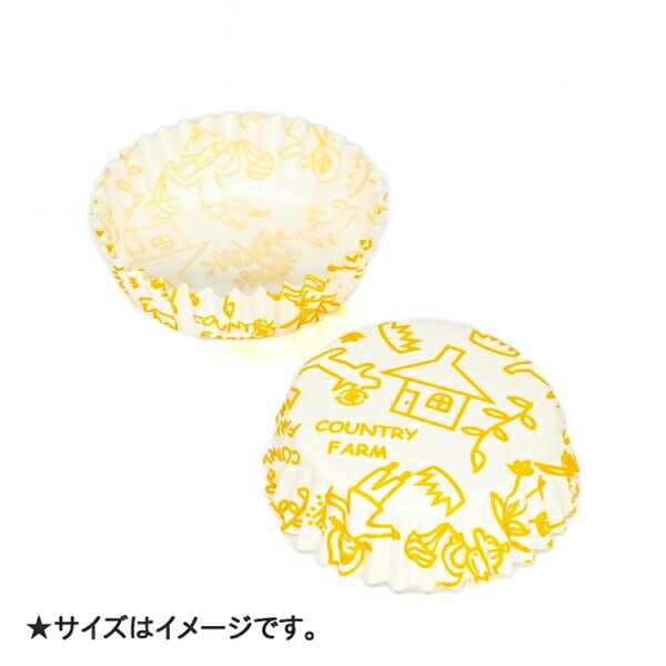 ڥåȥå ݷ 6.0cm߹⤵2.0cm(ȥ꡼ե) 300 PTC06020C-300