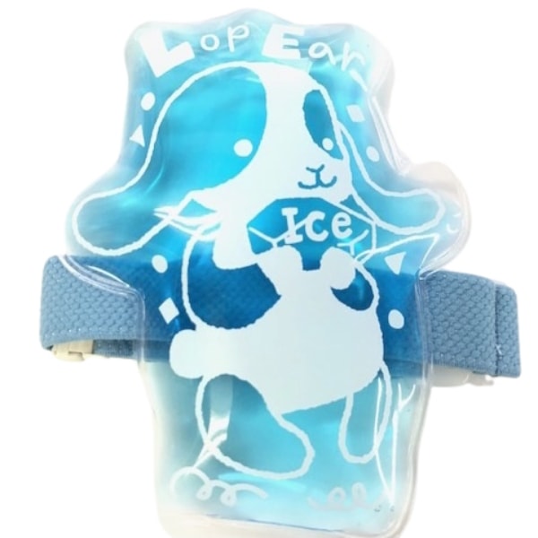   åץ䡼ӥåȥХդ(Ʃߥ֥롼) 1 WEB30-1