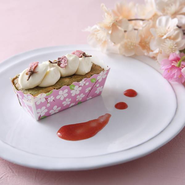 ߥ˥ѥɥȥ졼 S(꡼֥å) 10 BT8567-10