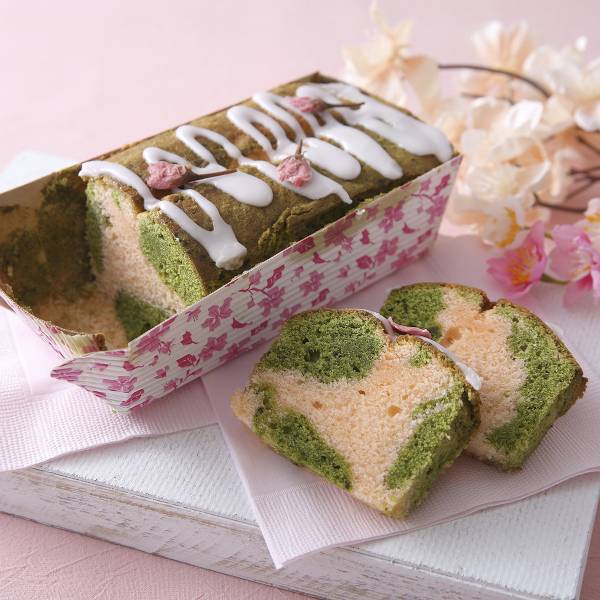 ١󥰥ȥ졼 L(꡼֥å) 10 CT8569-10