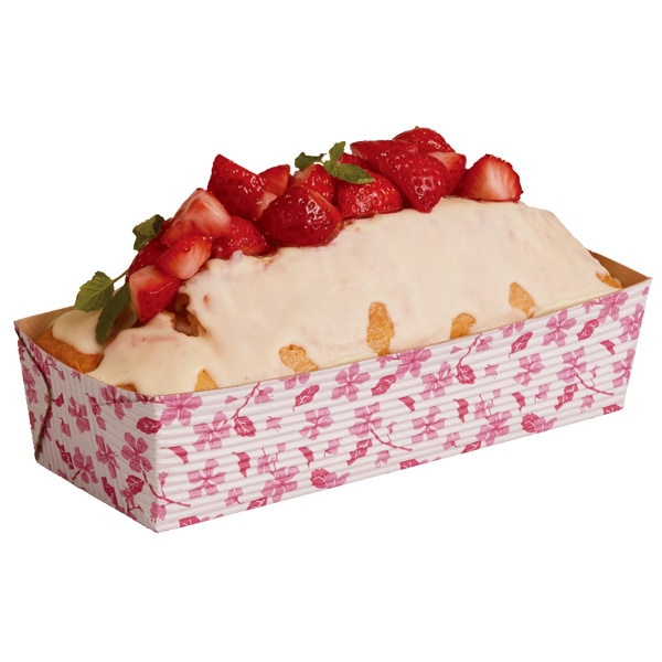 ١󥰥ȥ졼 LL(꡼֥å) 10 CT8570-10