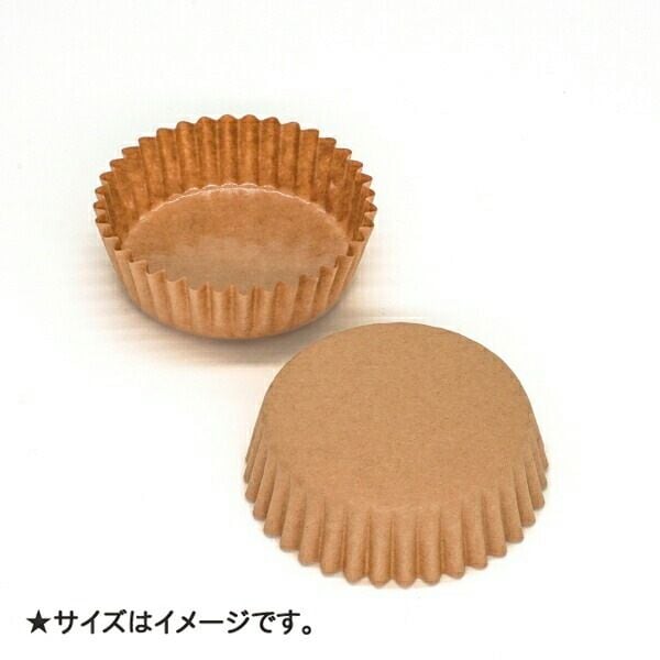 �ڥåȥ��å� �ݷ� 6.5cm�߹⤵2.5cm(����ե�) 9600���� ��ľ���� PTC06520J-9600