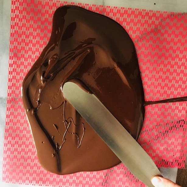 ���祳�졼��ž�̥����� 25.5cm��(�ɥåȥ��) 5���� CDT2-5