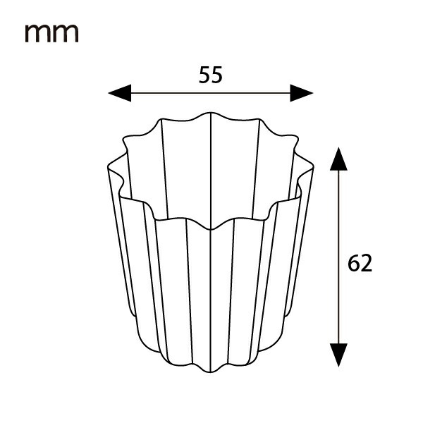 Ƽ���̥췿 �ȡ��� 5���� KGP087-5