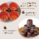 Ƽ���̥췿 �� 1���� KGP041-1