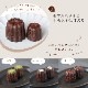 Ƽ���̥췿 �� 1���� KGP041-1