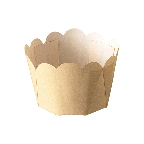 �פ졼�󤫤ä� M(��̵��) 100���� C901-100