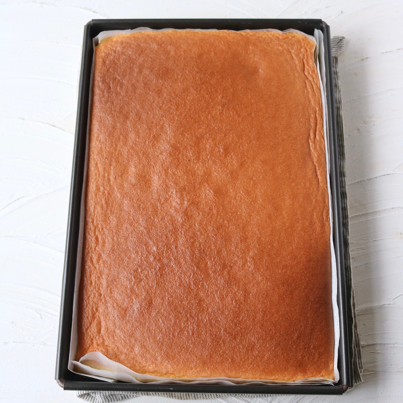 ロールケーキ型 350×250×35mm マトファー製エグゾパン 1個入 KGP033-1