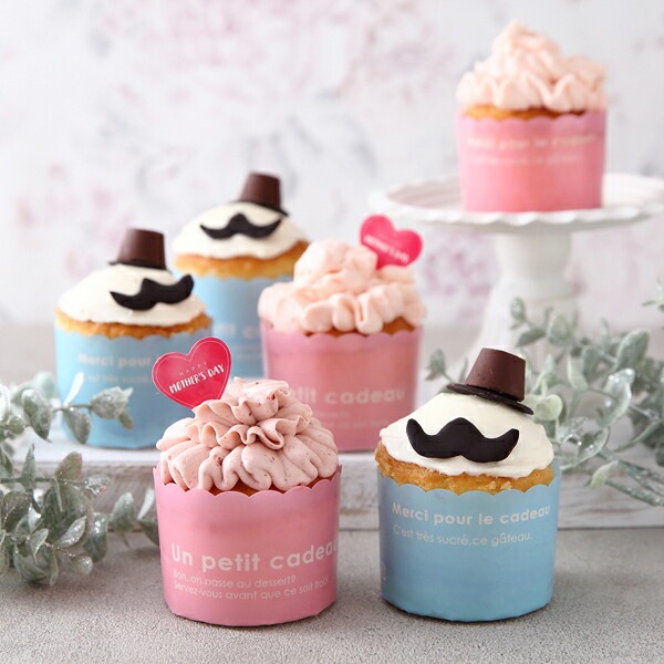 ���顼 �ޥե��󥫥å� M(�ԥ�) 2000���� CK41-2000