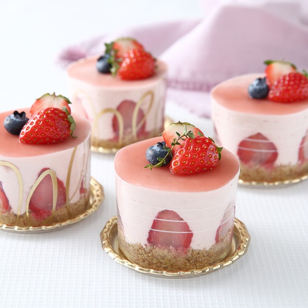 �ǥ����ȥ��å� L(���ȥ饤��) 100���� CK803-100