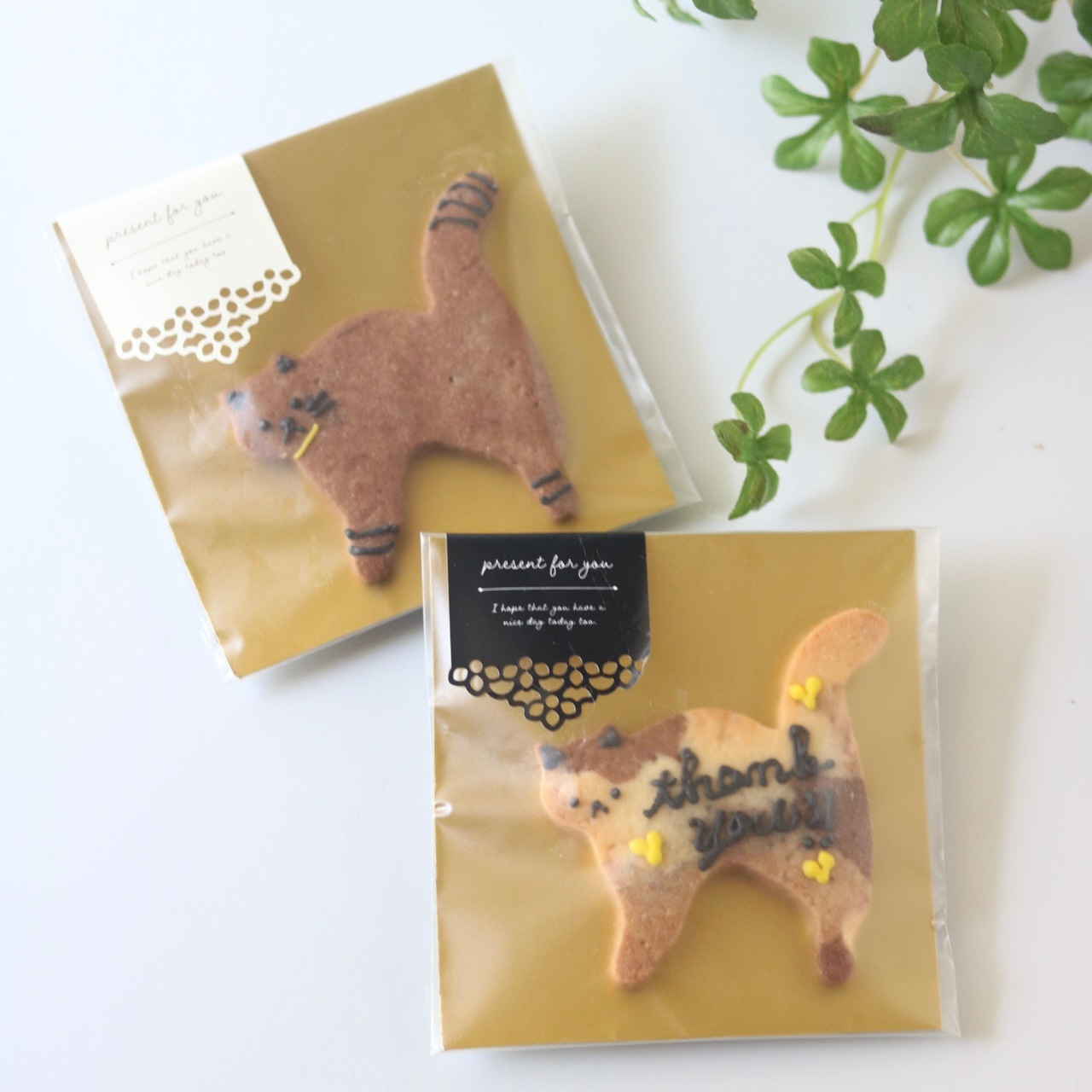 ���åƥ��󥰥��å������ (��) 10���� XNP001-10