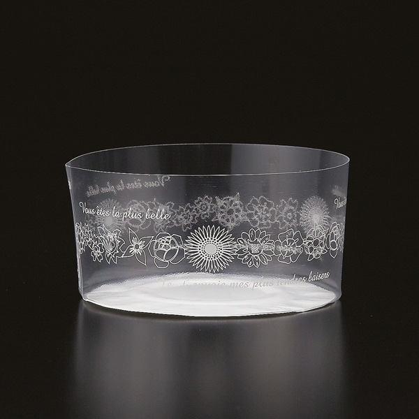 �ǥ����ȥ��å� M(�ե�) 100���� CK806-100