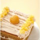 �ѷ��ǥ��졼��������귿 18cm KGP053-1
