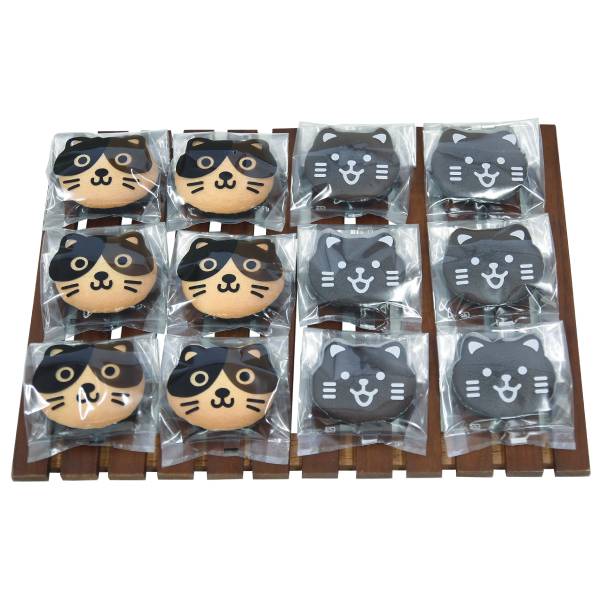 ��åԥ��� �����ͥ� (Ʃ��) 100���� �ޥɥ졼�� �б� �ޥ����� æ���Ǻ��б� XF8602-100