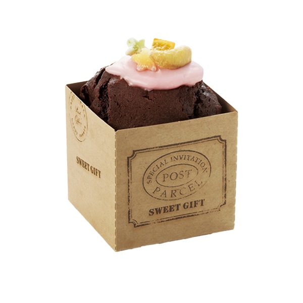 ���塼�֥��å� 55M(���åǥ���) 100���� CB21-100