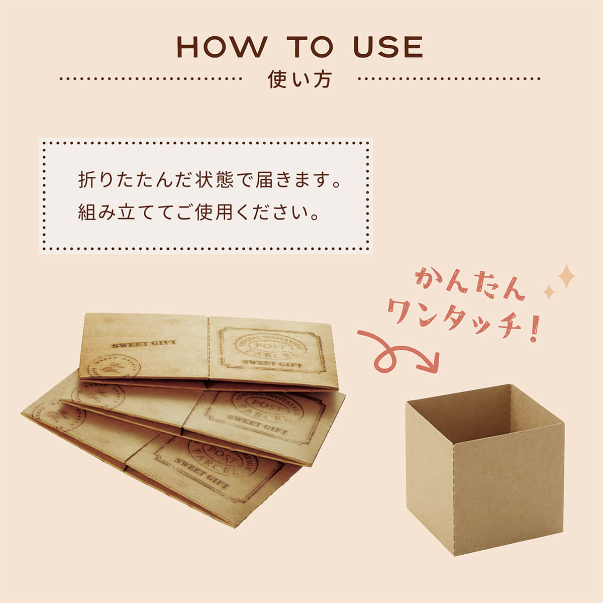 ���塼�֥��å� 55M(���åǥ���) 100���� CB21-100