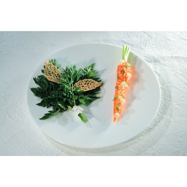 Pavoni ���ꥳ��  �ץ롼�� 12�� 300��200 1����KPP017-1