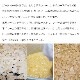 てん菜糖フロランタン 5個入り