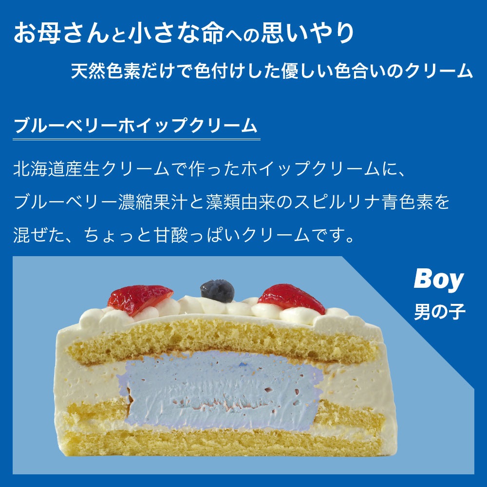 ジェンダーリビールケーキ 5号