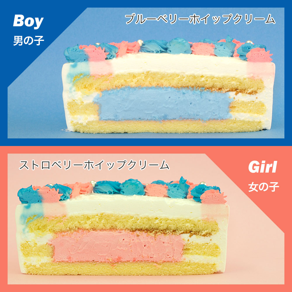 ジェンダーリビールケーキ 5号