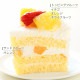 ひな祭りケーキ生クリーム 7号