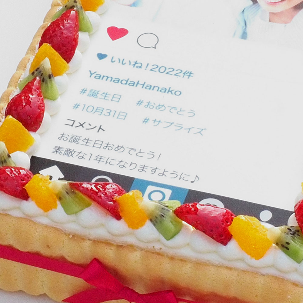 インスタグラム風ケーキ L