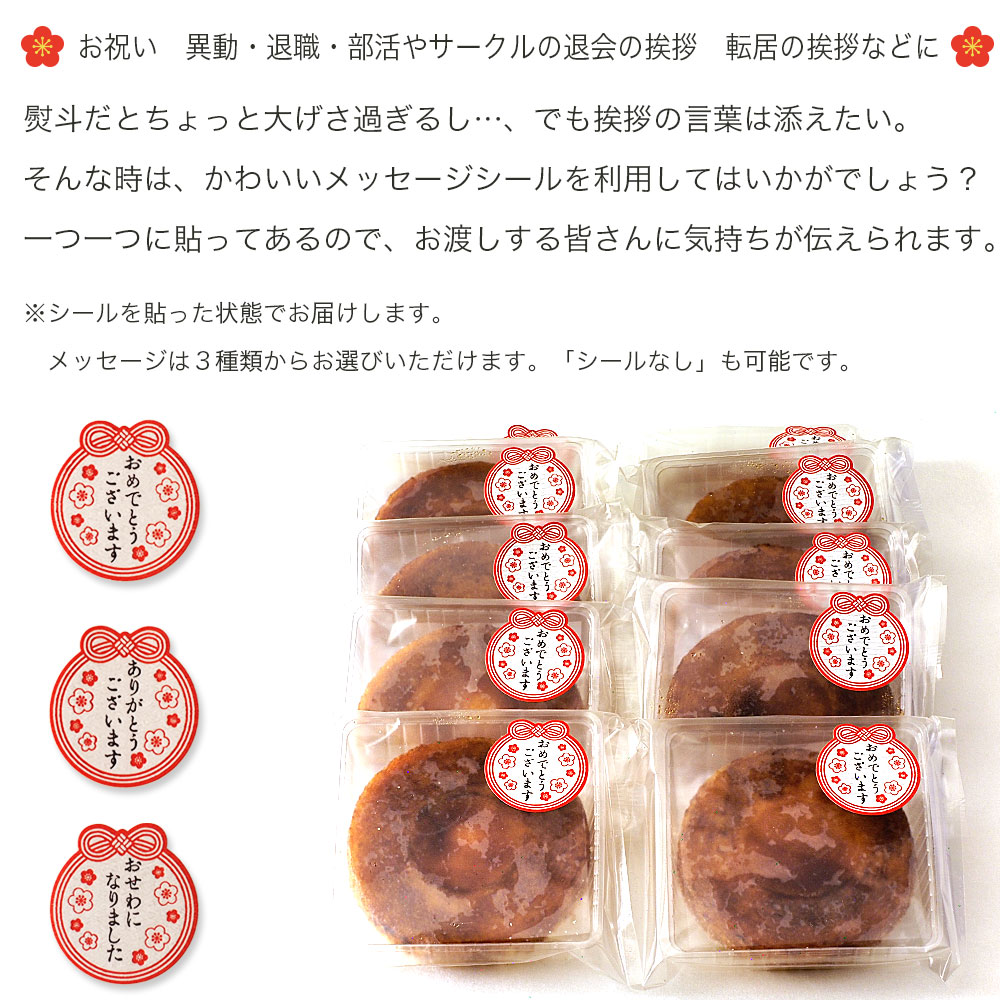 プチプリンバーム 10個入り