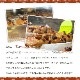 パウンドケーキ3種詰め合わせ 10個入り